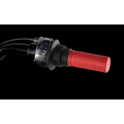 Trek PRECALIBER 20 à 7 Vitesses 2023 -Vélos Soldes Magasin trek precaliber 20 2023 3