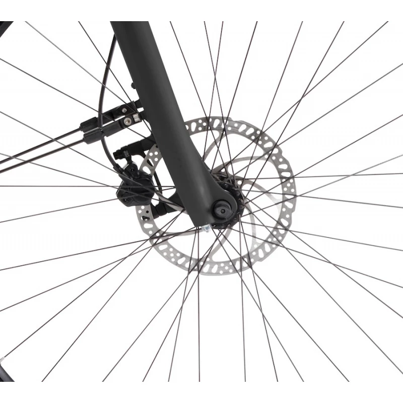 Winora TRIA 10 MONO 2022 3 Winora TRIA 10 MONO 2022 – Image 2